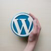 Comment choisir un Plugin WordPress ?